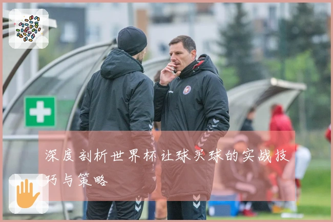深度剖析世界杯让球买球的实战技巧与策略